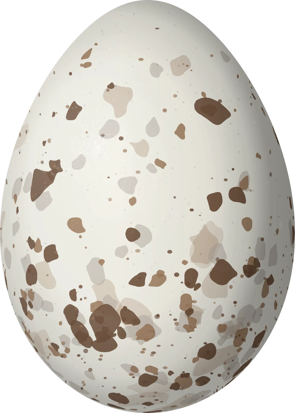 Illustration of a Capped Conebill (Conirostrum albifrons) egg, 17.8 × 12.7 mm