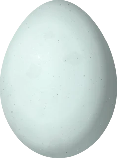 Illustration of a Capped Heron (Pilherodius pileatus) egg, 49.4 × 36.5 mm
