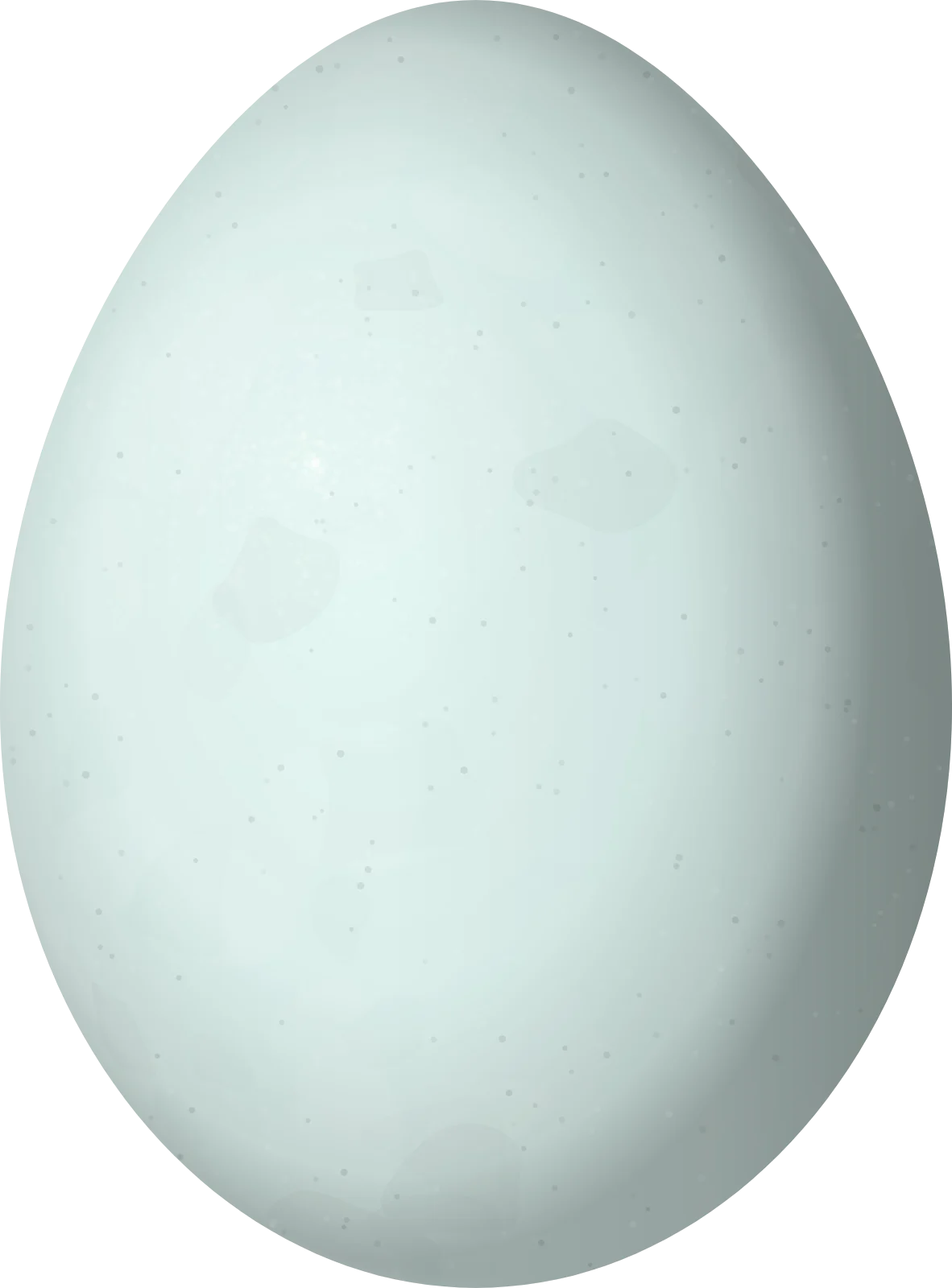 Illustration of a Capped Heron (Pilherodius pileatus) egg, 49.4 × 36.5 mm