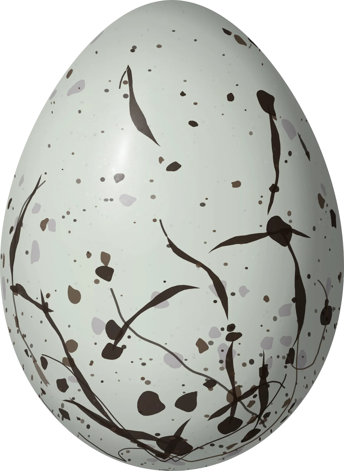 Illustration of a Carib Grackle (Quiscalus lugubris) egg, 24.9 × 18.2 mm