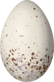 Illustration of a Carmiol's Tanager (Chlorothraupis carmioli) egg, 25.2 × 16.8 mm