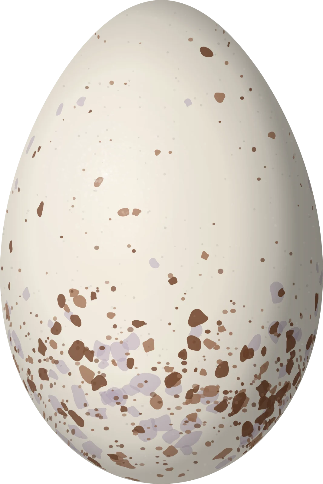 Illustration of a Carmiol's Tanager (Chlorothraupis carmioli) egg, 25.2 × 16.8 mm