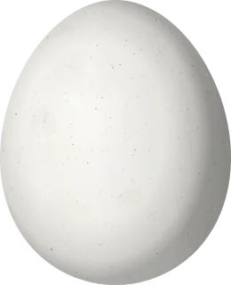 Carolina Parakeet egg, 34.23 × 27.8 mm