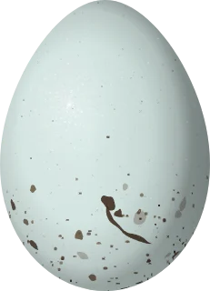 Illustration of a Cassia Crossbill (Loxia sinesciuris) egg, 20.6 × 14.9 mm