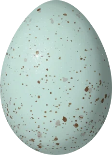 Illustration of a Cassin's Finch (Haemorhous cassinii) egg, 20.3 × 14.7 mm