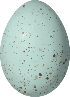 Cassin's Finch egg, 20.3 × 14.7 mm