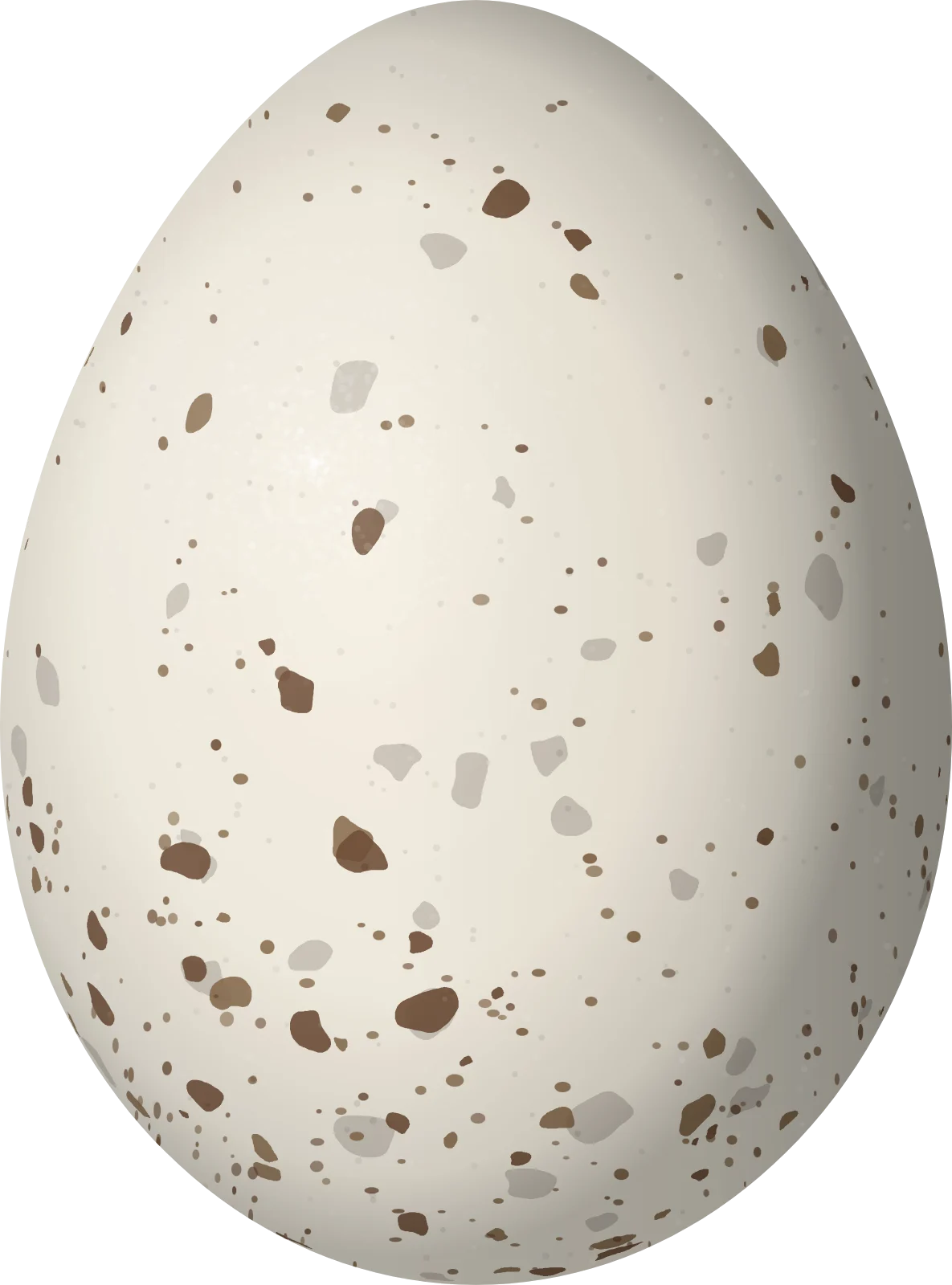 Illustration of a Cassin's Kingbird (Tyrannus vociferans) egg, 23.5 × 17.4 mm