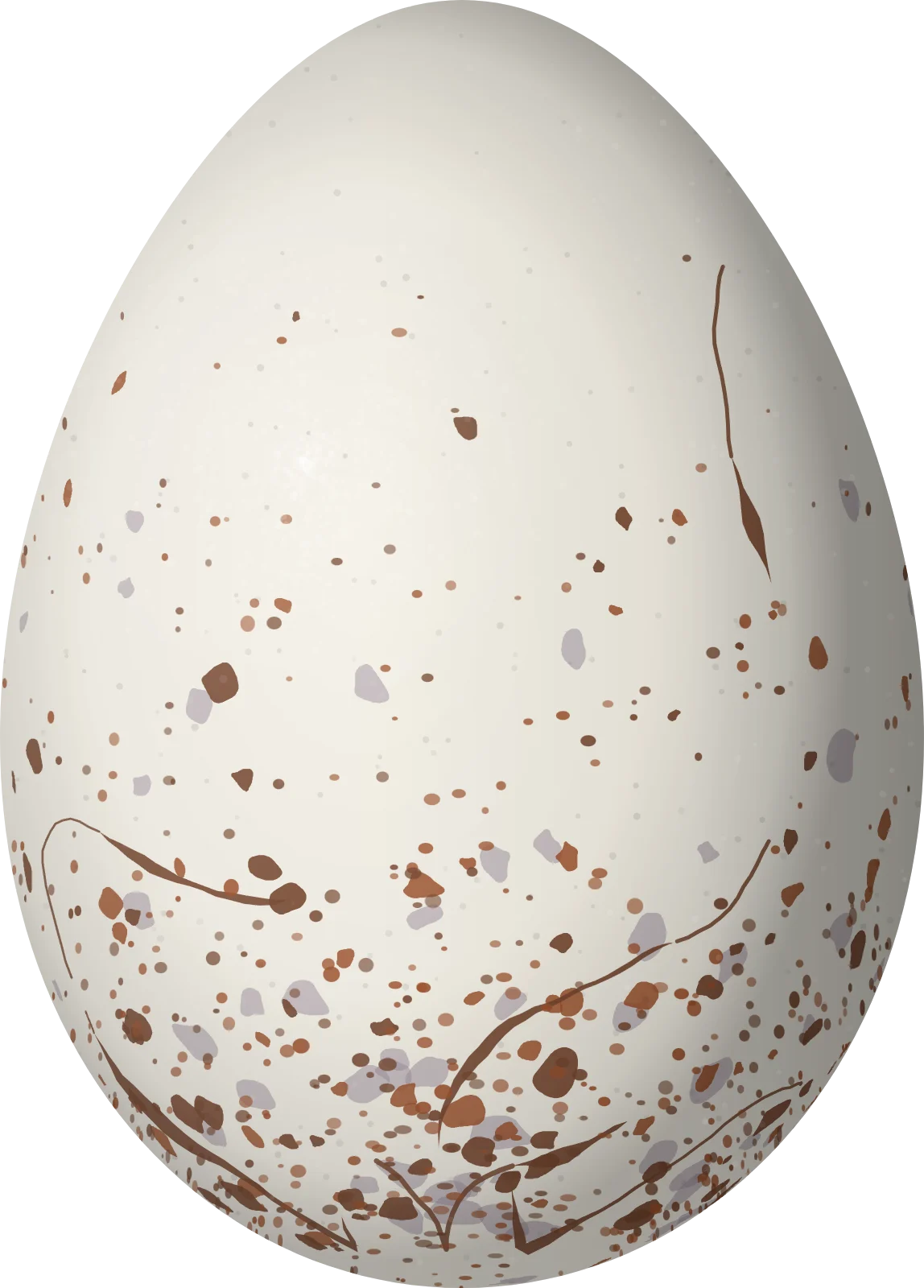 Illustration of a Castelnau's Antshrike (Thamnophilus cryptoleucus) egg, 23 × 16.5 mm