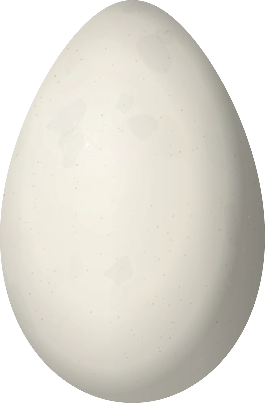 Illustration of a Cauca Guan (Penelope perspicax) egg, 74.9 × 49.2 mm