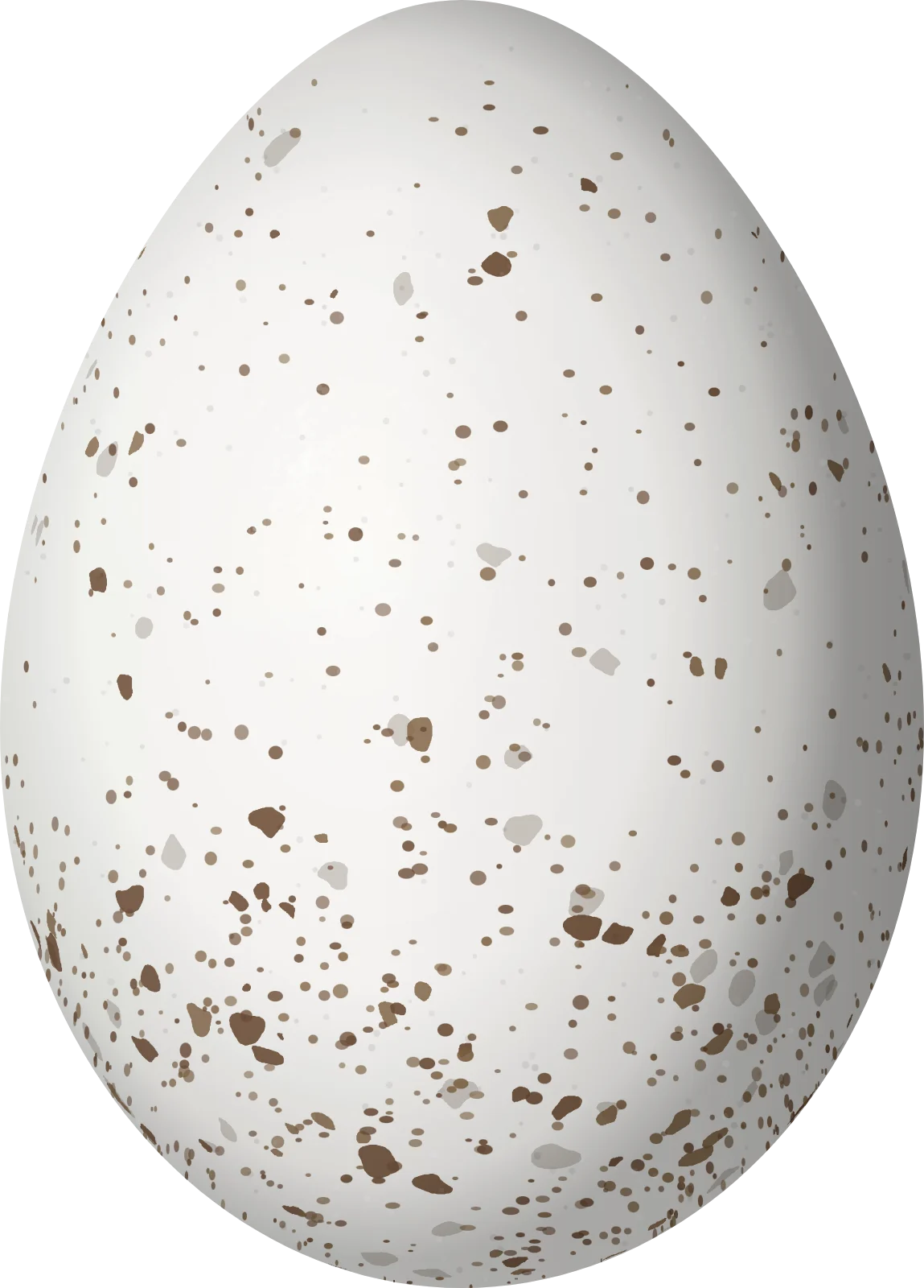 Illustration of a Cave Swallow (Petrochelidon fulva) egg, 19.5 × 14 mm