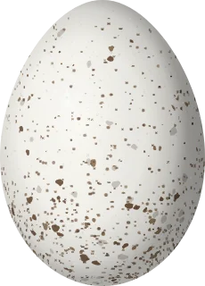 Cave Swallow egg, 19.5 × 14 mm
