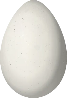 Illustration of a Chaco Chachalaca (Ortalis canicollis) egg, 62.8 × 43 mm