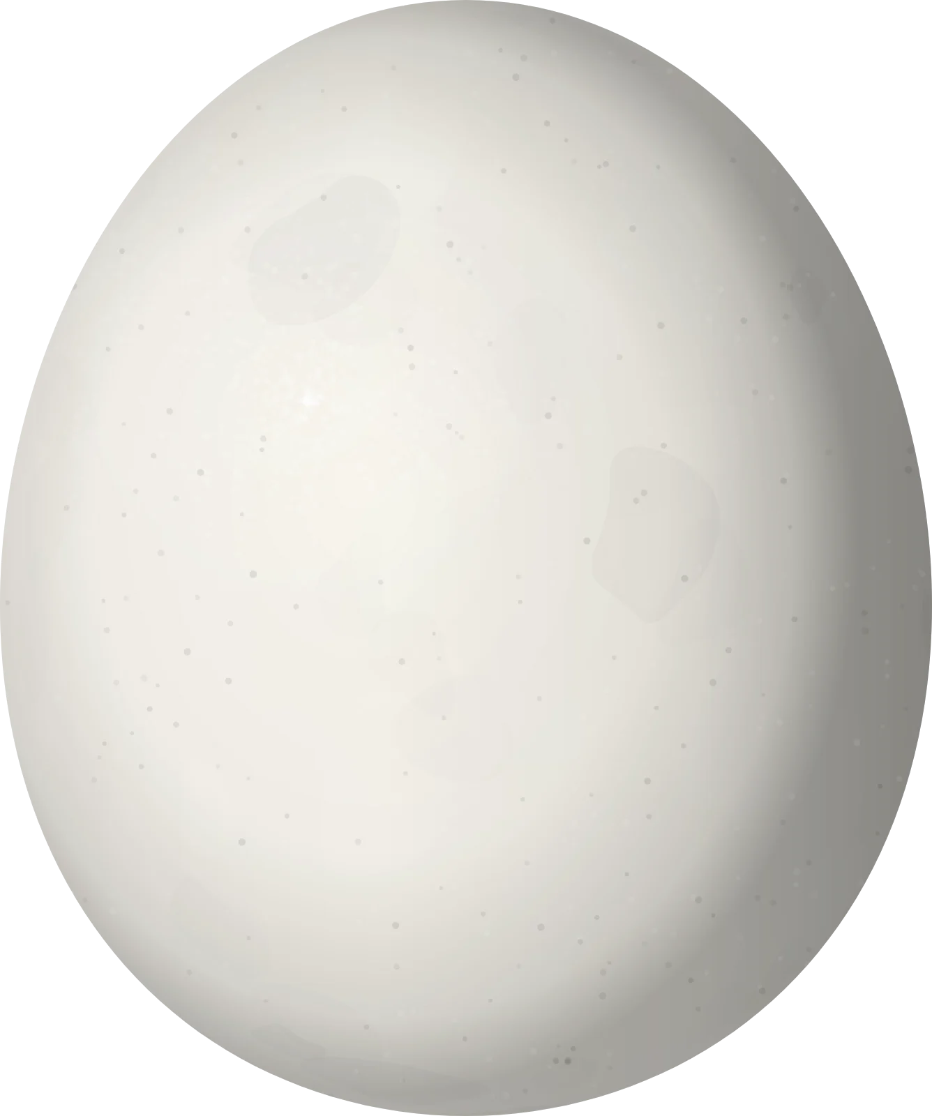 Illustration of a Chaco Owl (Strix chacoensis) egg, 47.2 × 39.4 mm