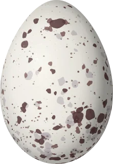 Illustration of a Chestnut-backed Tanager (Stilpnia preciosa) egg, 22.7 × 15.7 mm
