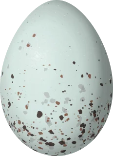 Illustration of a Chestnut-bellied Flowerpiercer (Diglossa gloriosissima) egg, 17.5 × 12.7 mm