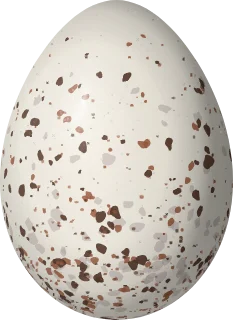 Illustration of a Chestnut-bellied Seed Finch (Sporophila angolensis) egg, 18.7 × 13.6 mm