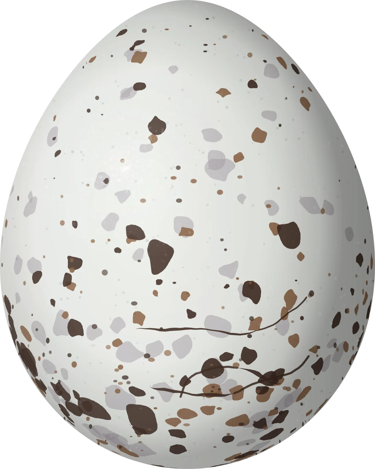 Illustration of a Chestnut-bellied Seedeater (Sporophila castaneiventris) egg, 15.6 × 12.48 mm