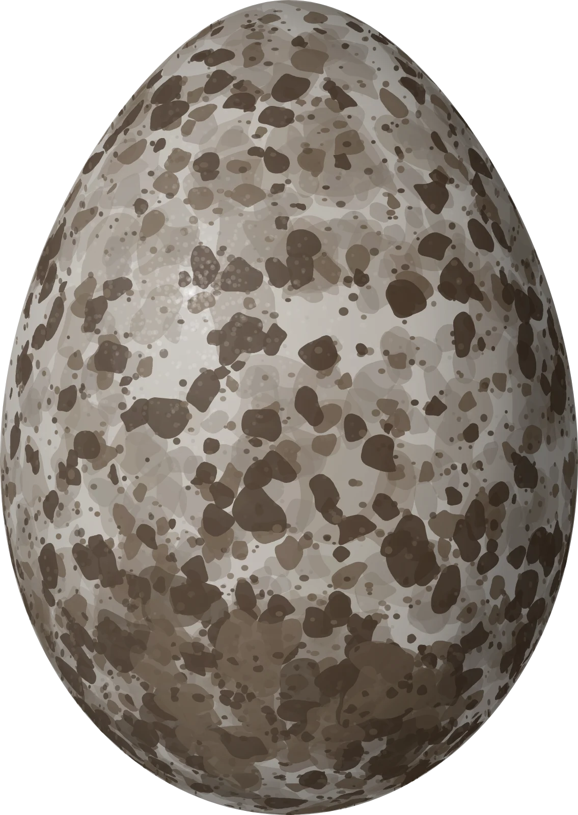Illustration of a Chestnut-capped Piha (Lipaugus weberi) egg, 31 × 22 mm