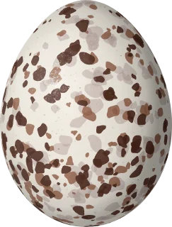 Chestnut-collared Longspur egg, 18.7 × 14.2 mm
