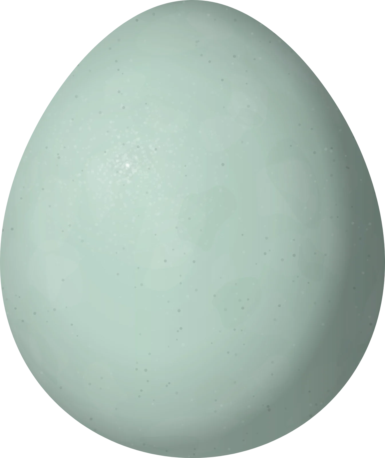 Illustration of a Chestnut-crowned Antpitta (Grallaria ruficapilla) egg, 29.5 × 24.8 mm