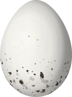 Illustration of a Chestnut-headed Tanager (Thlypopsis pyrrhocoma) egg, 19.5 × 14.5 mm