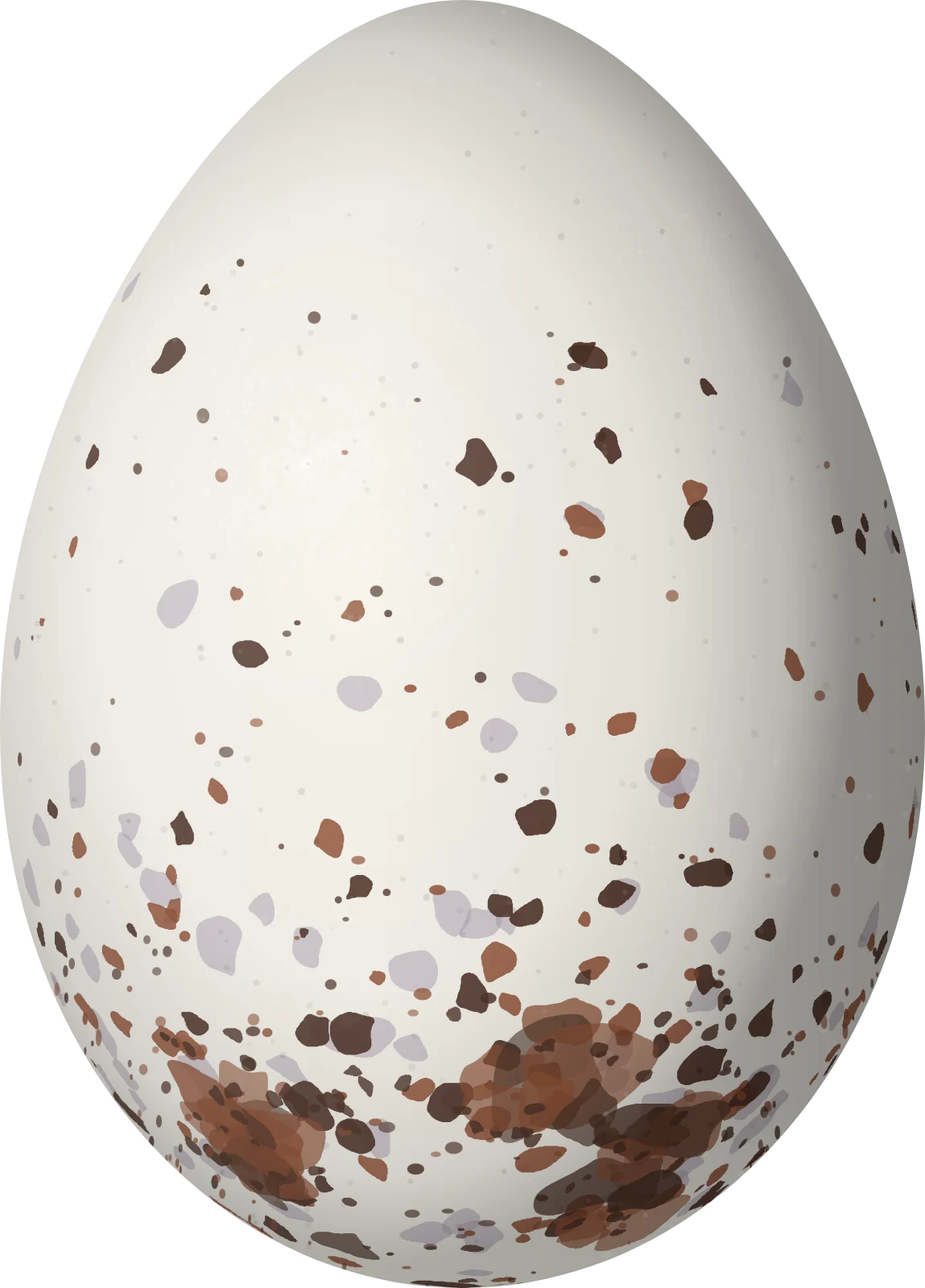 Illustration of a Chestnut Seedeater (Sporophila cinnamomea) egg, 17.4 × 12.5 mm
