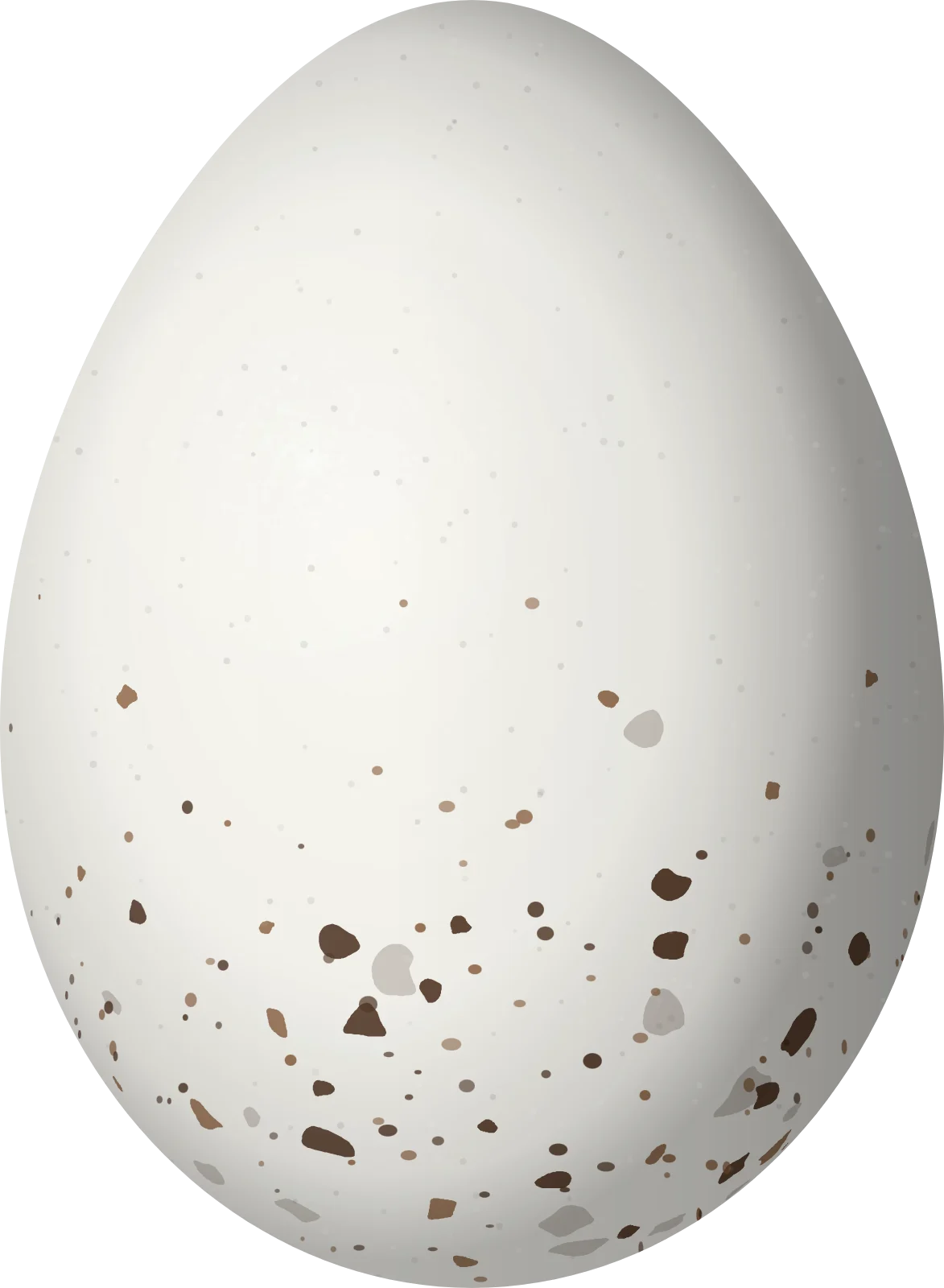 Illustration of a Chestnut-sided Shrike-Vireo (Vireolanius melitophrys) egg, 19.1 × 14 mm