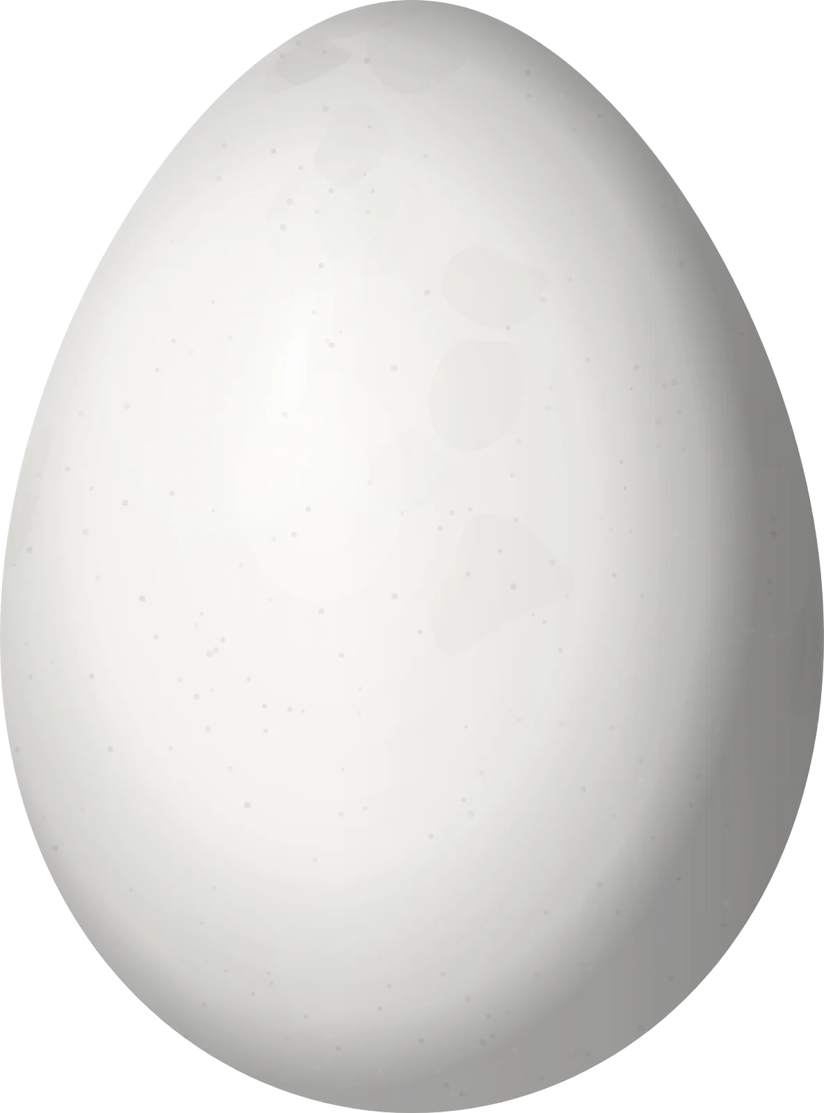 Illustration of a Chestnut-winged Hookbill (Ancistrops strigilatus) egg, 24.3 × 18 mm