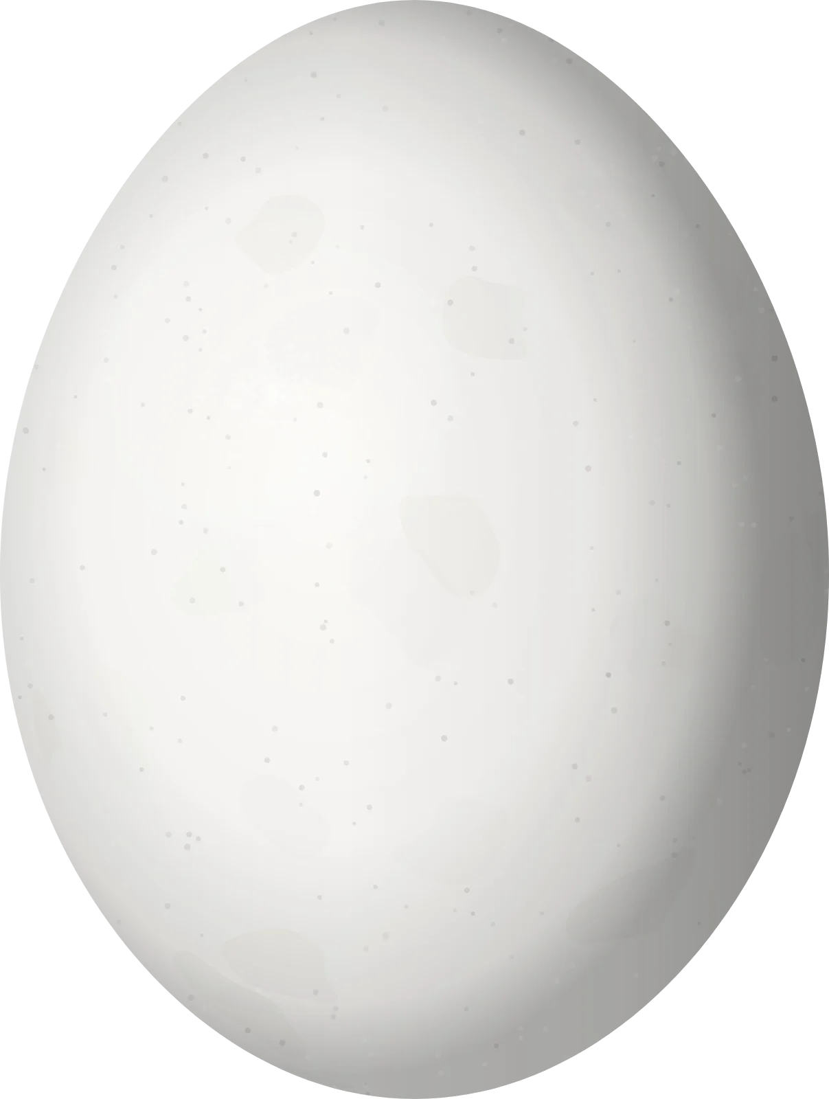 Illustration of a Chiriqui Quail-Dove (Zentrygon chiriquensis) egg, 29.7 × 22.4 mm