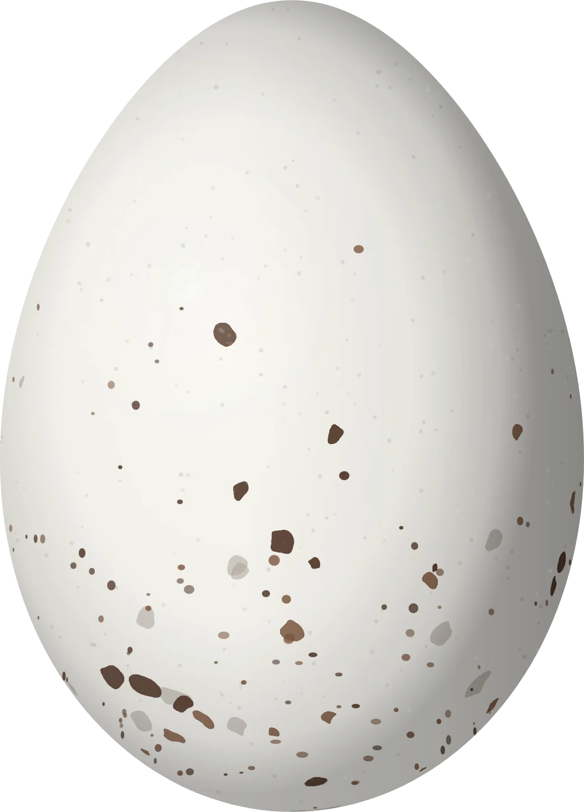 Illustration of a Chivi Vireo (Vireo chivi) egg, 19.6 × 14.1 mm