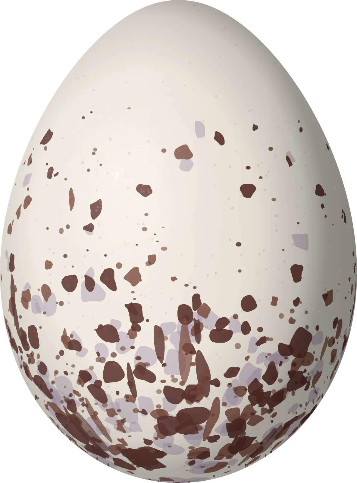 Illustration of a Choco Elaenia (Myiopagis parambae) egg, 18.1 × 13.4 mm