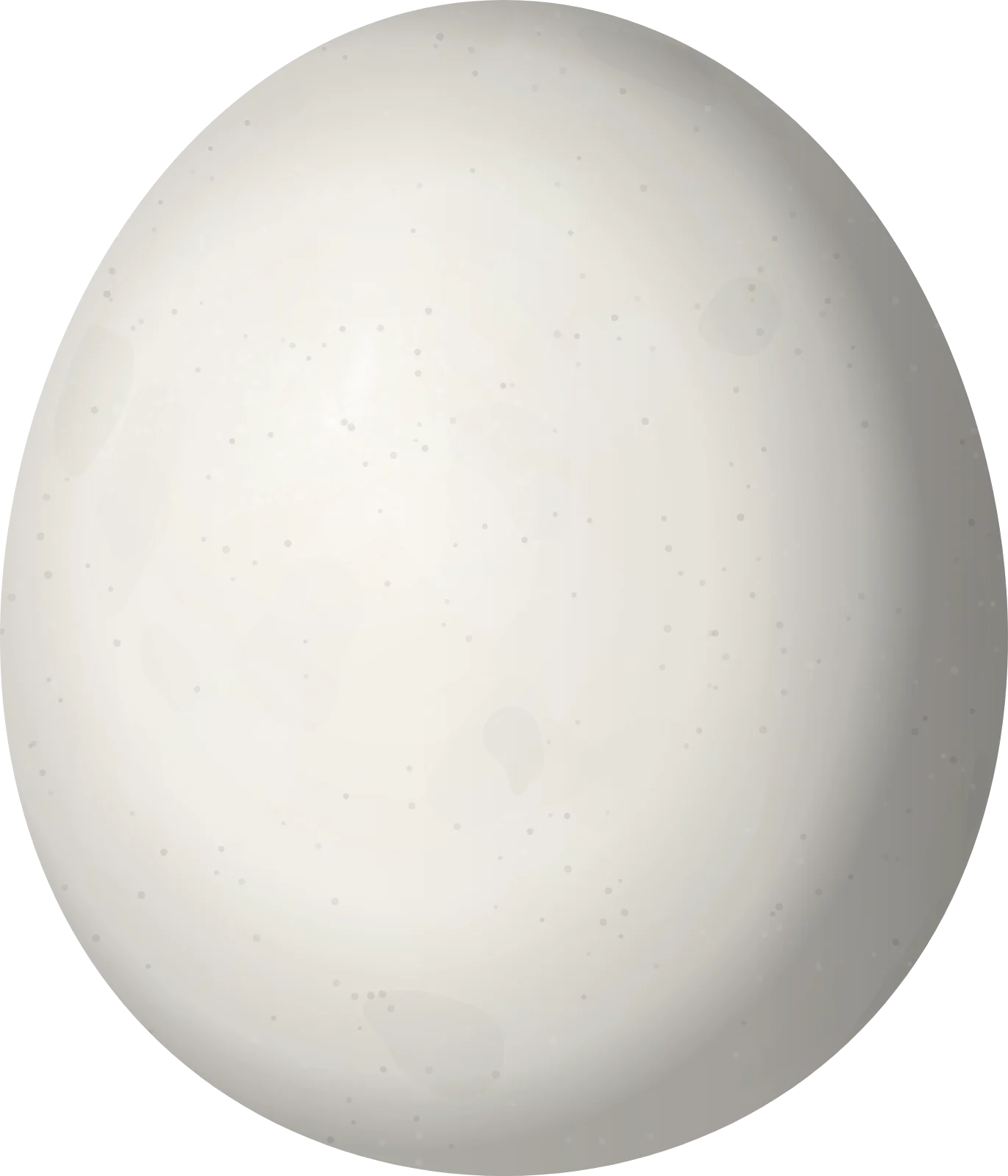 Illustration of a Choco Screech Owl (Megascops centralis) egg, 34.9 × 29.9 mm
