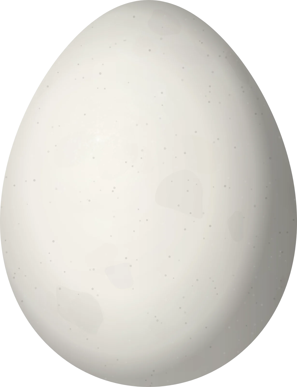 Illustration of a Chotoy Spinetail (Schoeniophylax phryganophilus) egg, 19.9 × 15.3 mm