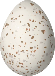 Chukar egg, 43 × 31.4 mm