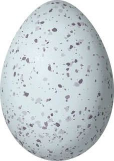 Illustration of a Cinereous Conebill (Conirostrum cinereum) egg, 18.3 × 13 mm