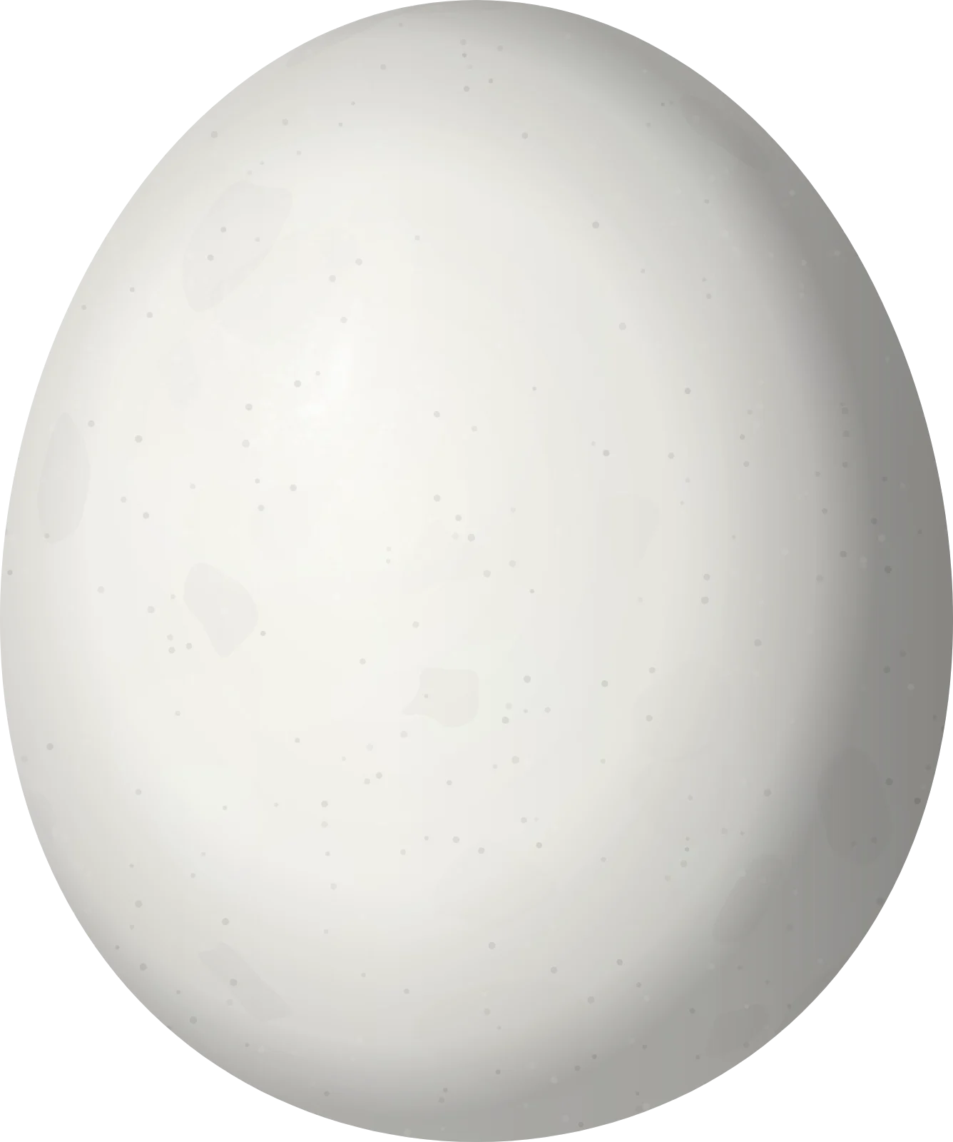 Illustration of a Cinereous Owl (Strix sartorii) egg, 47.2 × 39.4 mm