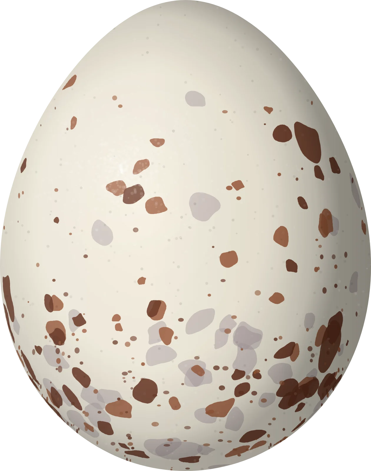 Illustration of a Cinereous Tyrant (Knipolegus striaticeps) egg, 19.3 × 15.2 mm