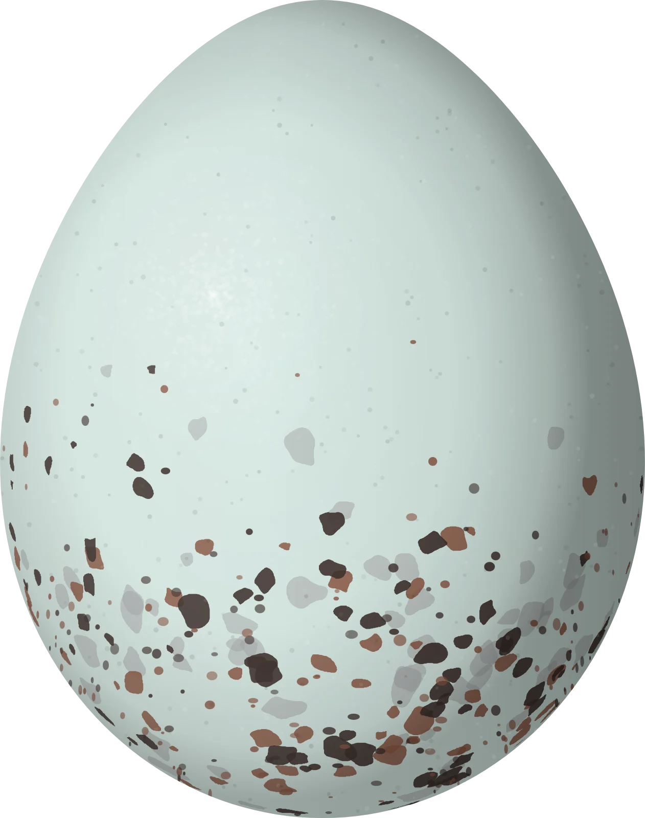Illustration of a Cinnamon-bellied Flowerpiercer (Diglossa baritula) egg, 16.1 × 12.7 mm