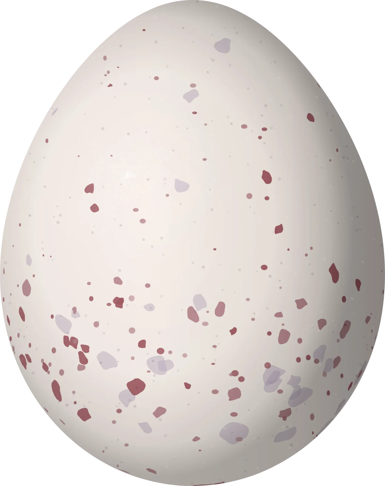 Illustration of a Cinnamon-crested Spadebill (Platyrinchus saturatus) egg, 16.8 × 13.3 mm