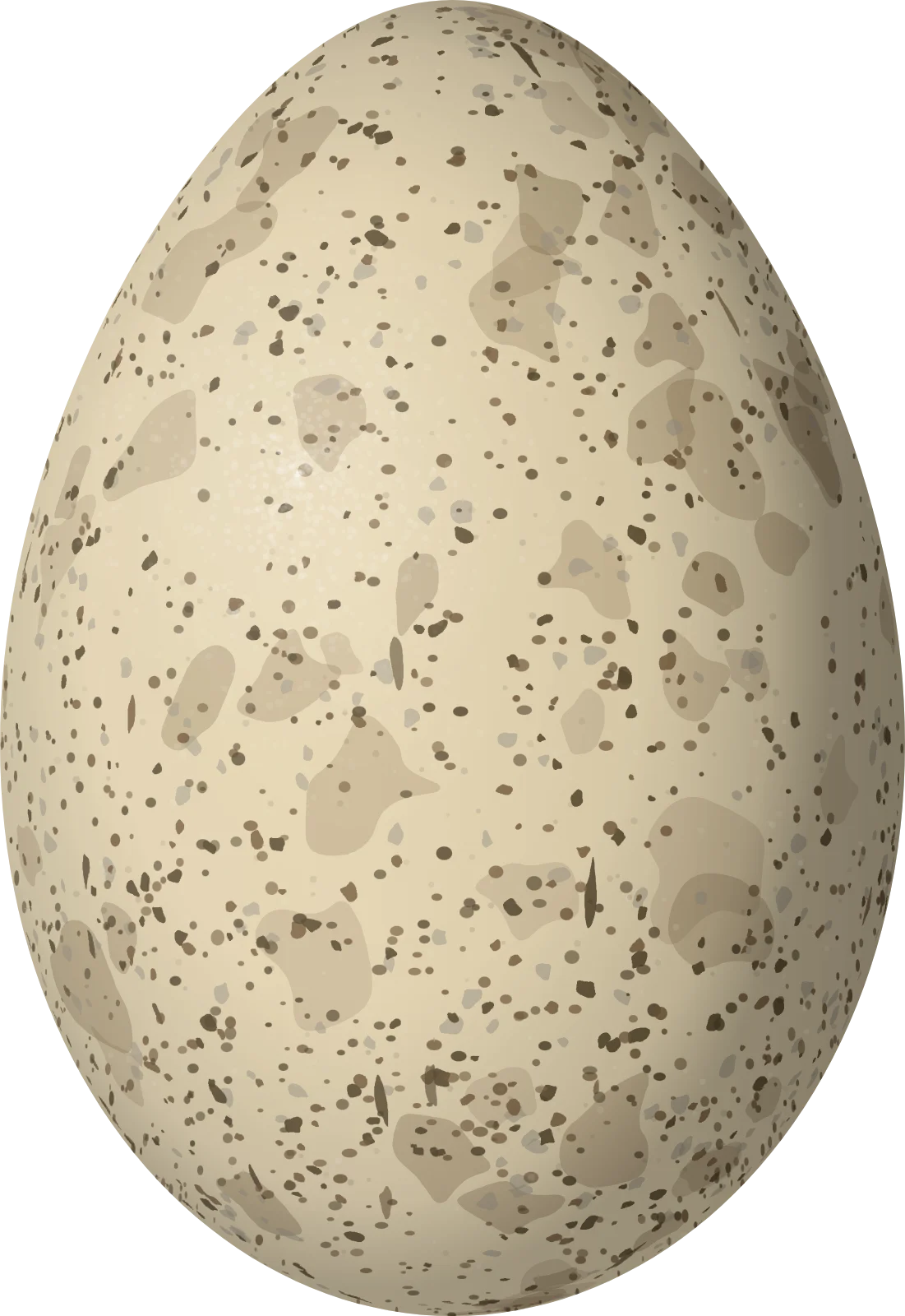 Illustration of a Cinnamon Tanager (Schistochlamys ruficapillus) egg, 24.7 × 17 mm