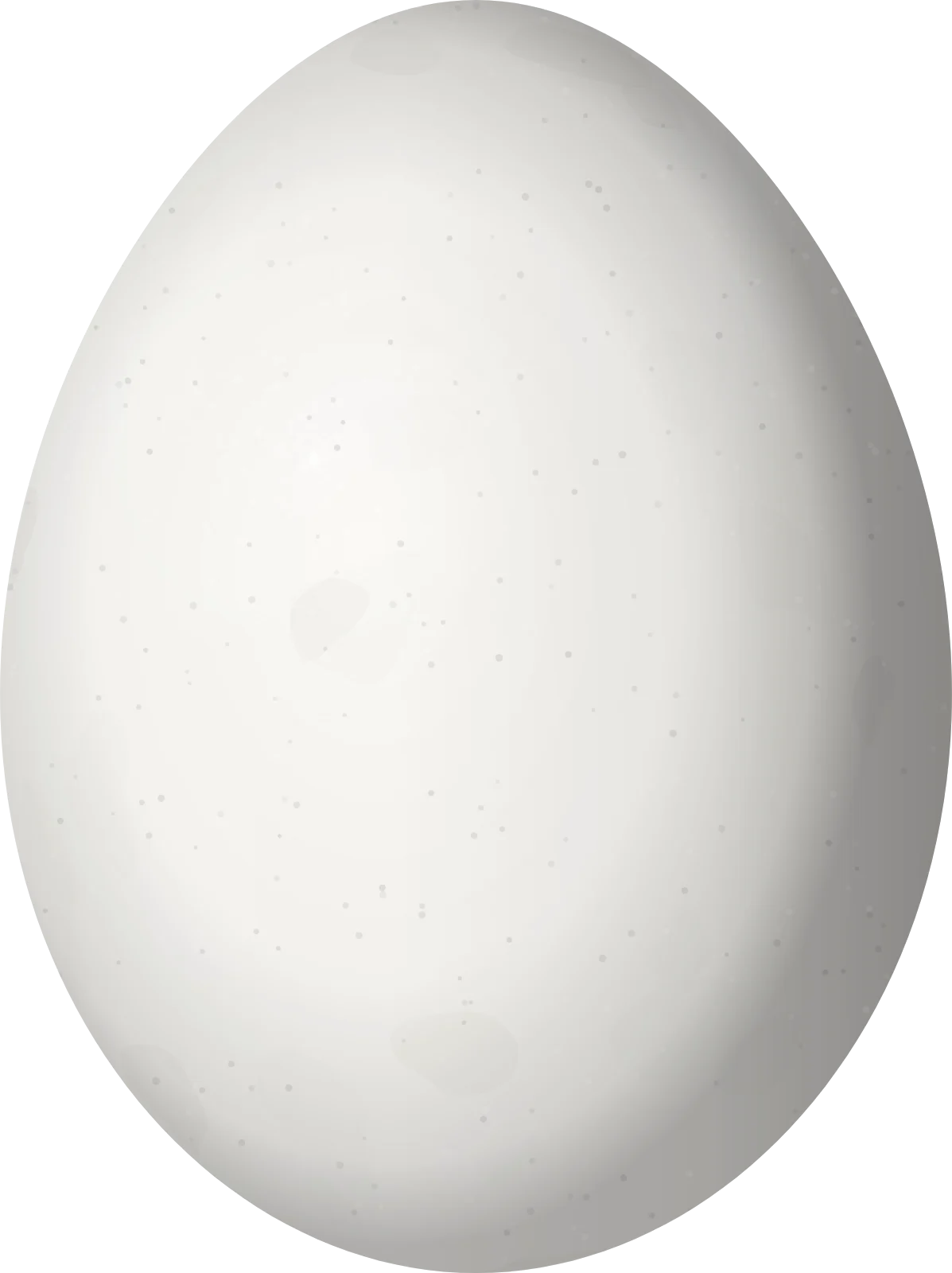 Illustration of a Cinnamon Woodpecker (Celeus loricatus) egg, 29 × 21.7 mm