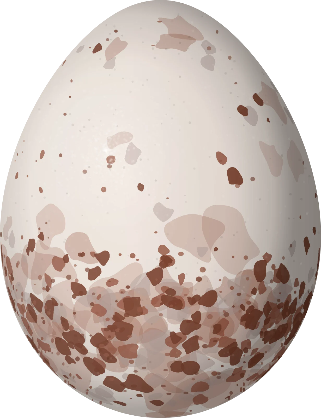 Illustration of a Clarion Wren (Troglodytes tanneri) egg, 16.9 × 13 mm