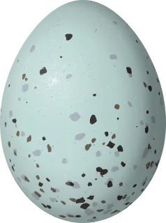 Clay-colored Sparrow egg, 17.1 × 12.7 mm