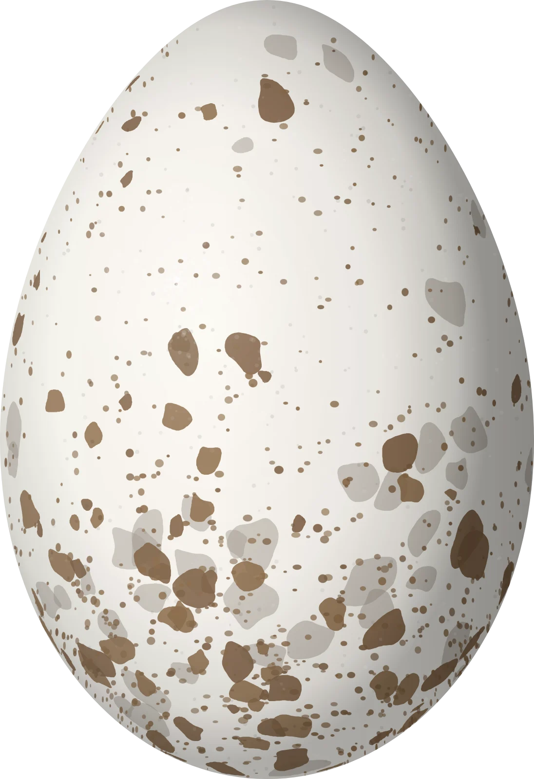 Illustration of a Cliff Swallow (Petrochelidon pyrrhonota) egg, 20.3 × 13.9 mm