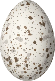 Cliff Swallow egg, 20.3 × 13.9 mm