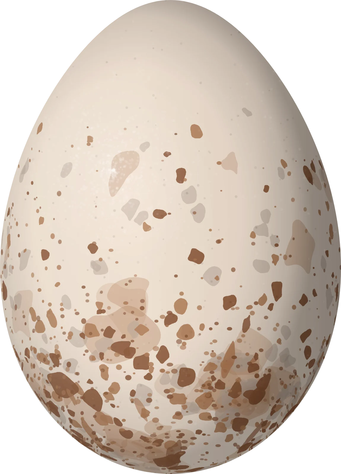 Illustration of a Club-winged Manakin (Machaeropterus deliciosus) egg, 20.08 × 14.43 mm