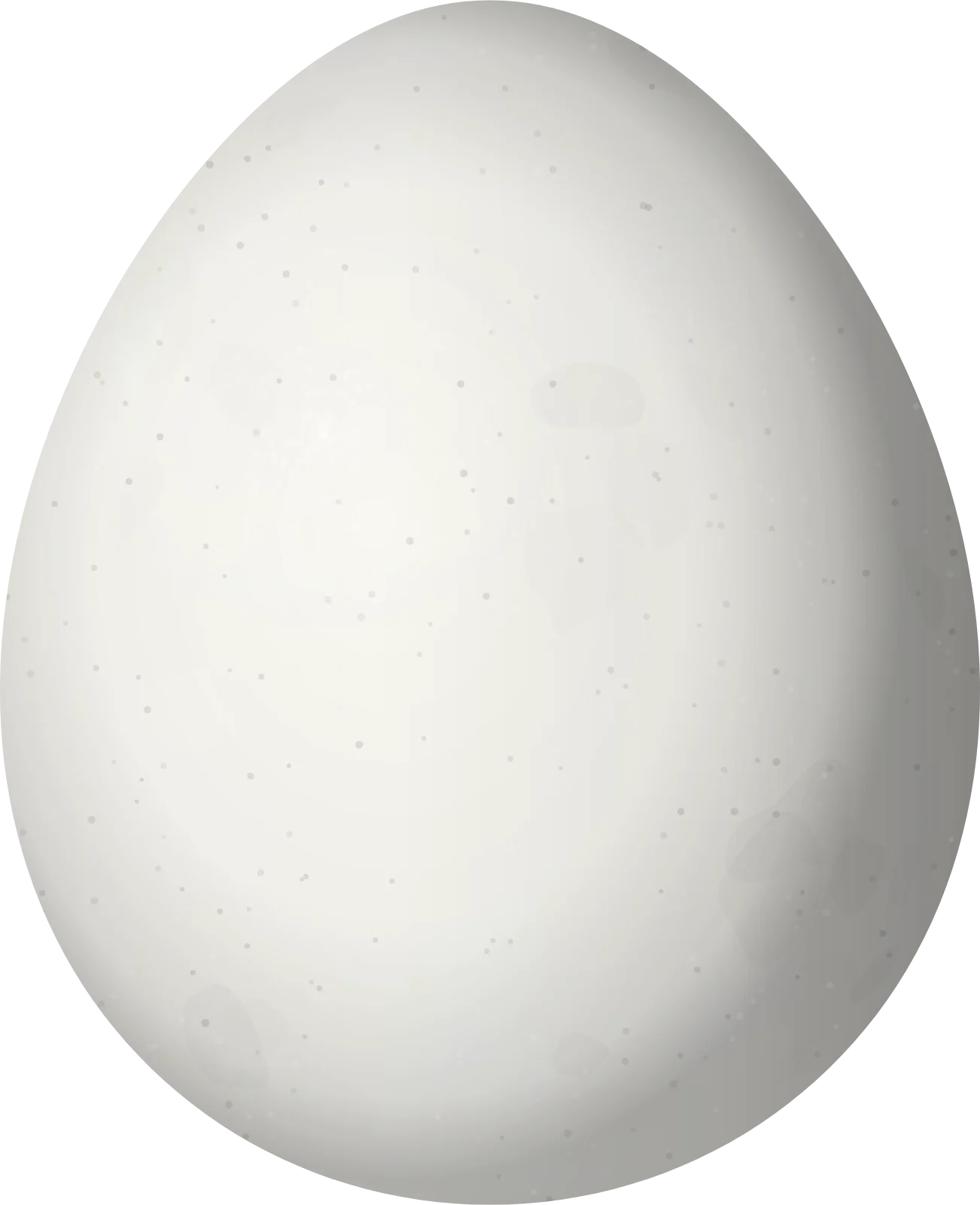 Illustration of a Coastal Miner (Geositta peruviana) egg, 20.65 × 16.8 mm