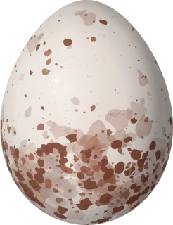 Illustration of a Cobb's Wren (Troglodytes cobbi) egg, 16.9 × 13 mm