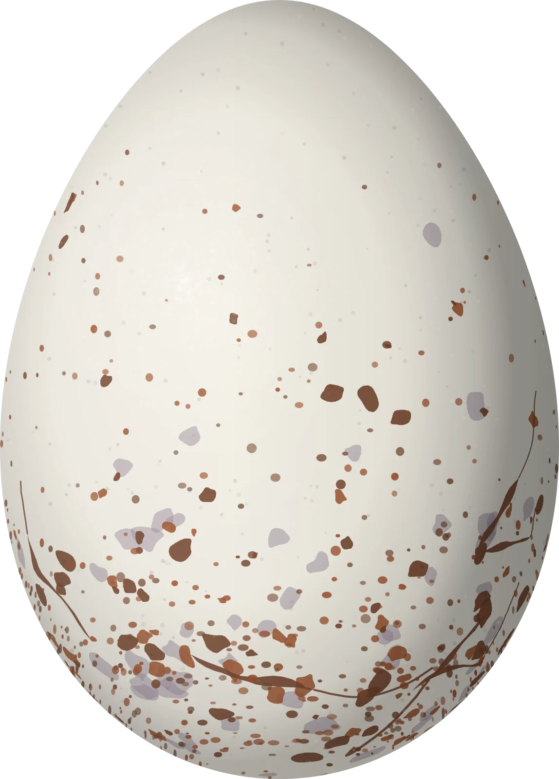 Illustration of a Cocha Antshrike (Thamnophilus praecox) egg, 23 × 16.5 mm