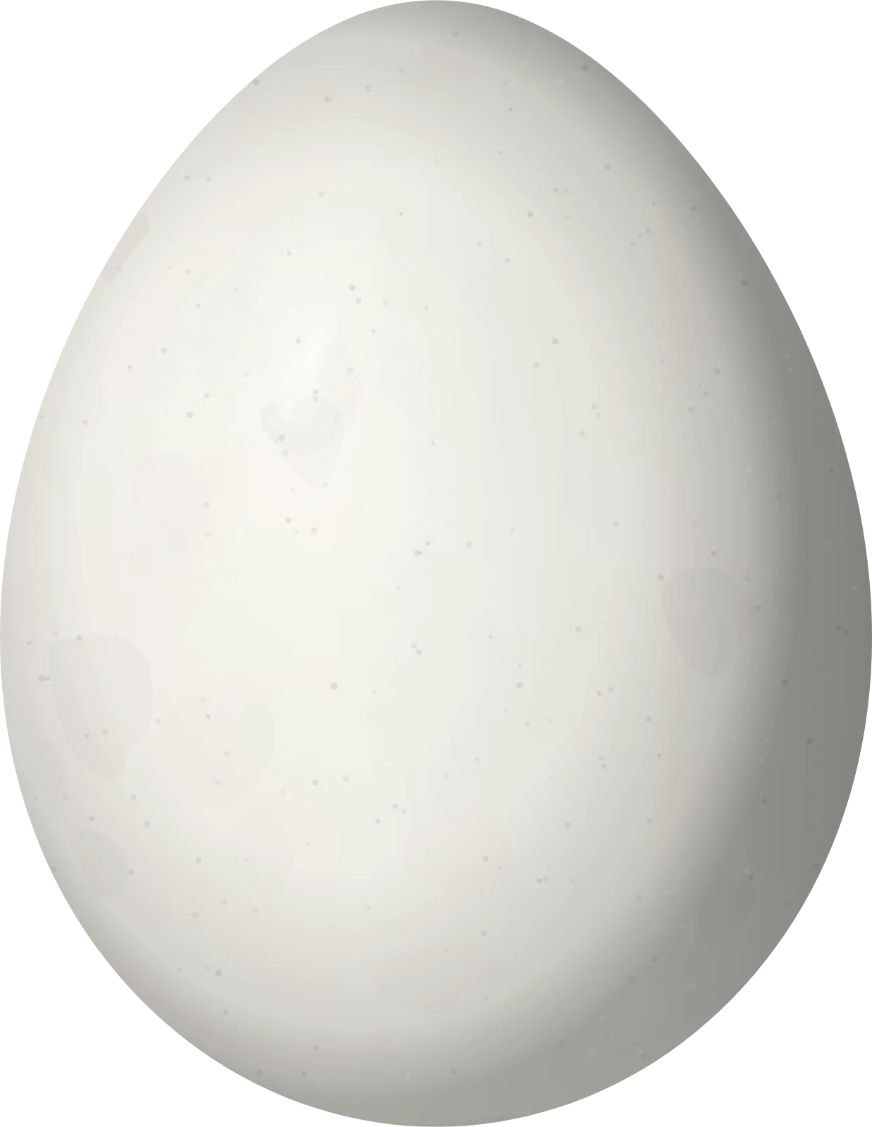 Illustration of a Cock-tailed Tyrant (Alectrurus tricolor) egg, 21.2 × 16.4 mm